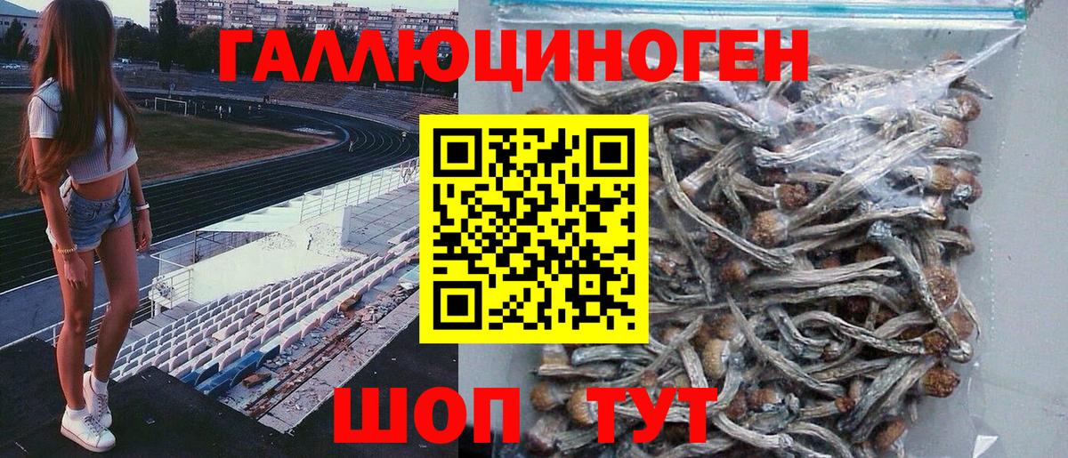 Галлюциногенные грибы Magic Shrooms  Вход с VPN  Когалым  продажа наркотиков  Псилоцибиновые грибы мицелий 